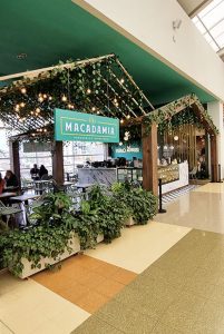 Stand Macadamia
